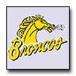 Click here to view the Broncos web site